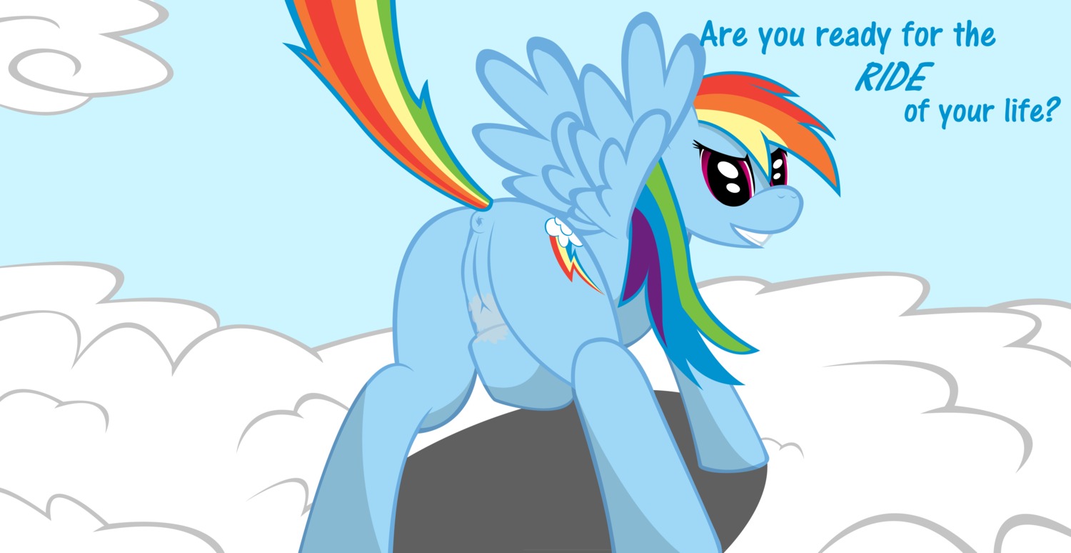 equine female feral friendship_is_magic horse my_little_pony pegasus pony rainbow_dash_(mlp) rule34 smooth_skin tagme
