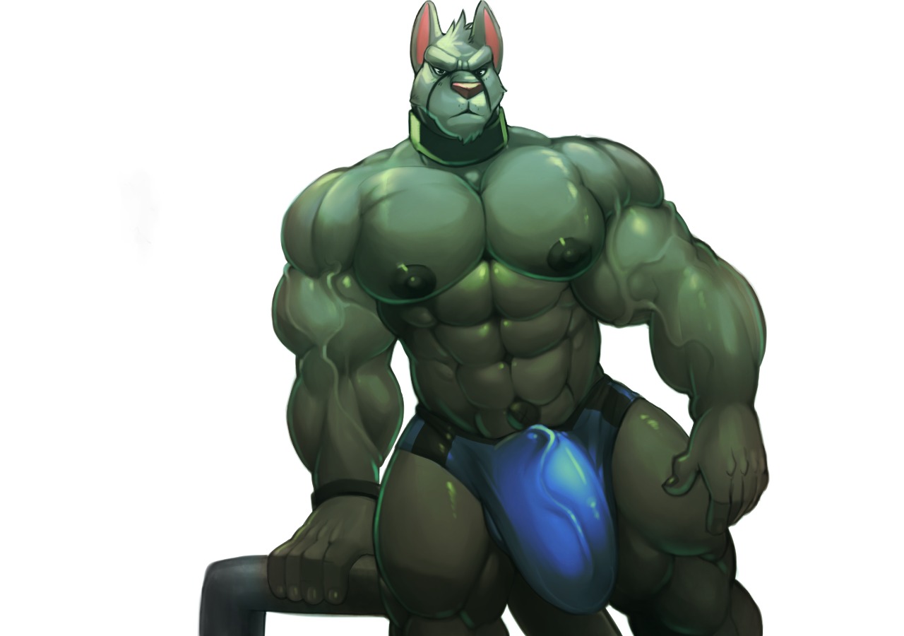 5_fingers abs anthro areola arm_support biceps big_bulge big_muscles black_nipples bulge canid canine canis clothed clothing collar detailed_bulge digital_drawing_(artwork) digital_media_(artwork) e621 erection erection_under_clothing fingers front_view genital_outline genitals grey_body grey_skin huge_bulge humanoid_hands hyper hyper_bulge komboochie male mammal muscular muscular_anthro muscular_male navel nipples outie_navel pecs penis penis_outline simple_background solo speedo swimwear tail topless underwear vein waffle_(ashwaffles) white_background wolf
