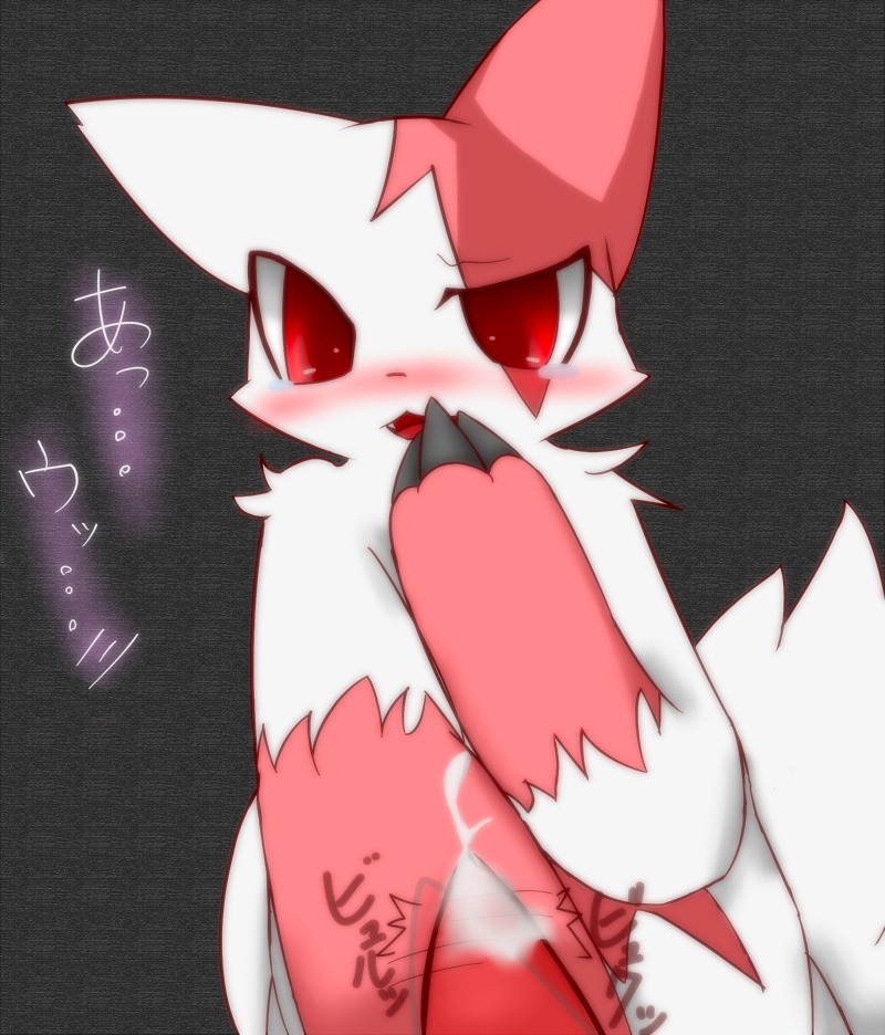 anthro blush bodily_fluids cum e621 erection fur generation_3_pokemon genital_fluids genitals katsuwobushi male markings nintendo nude orgasm penis pokemon pokemon_(species) precum red_markings shy solo tail tears teeth white_body white_fur zangoose