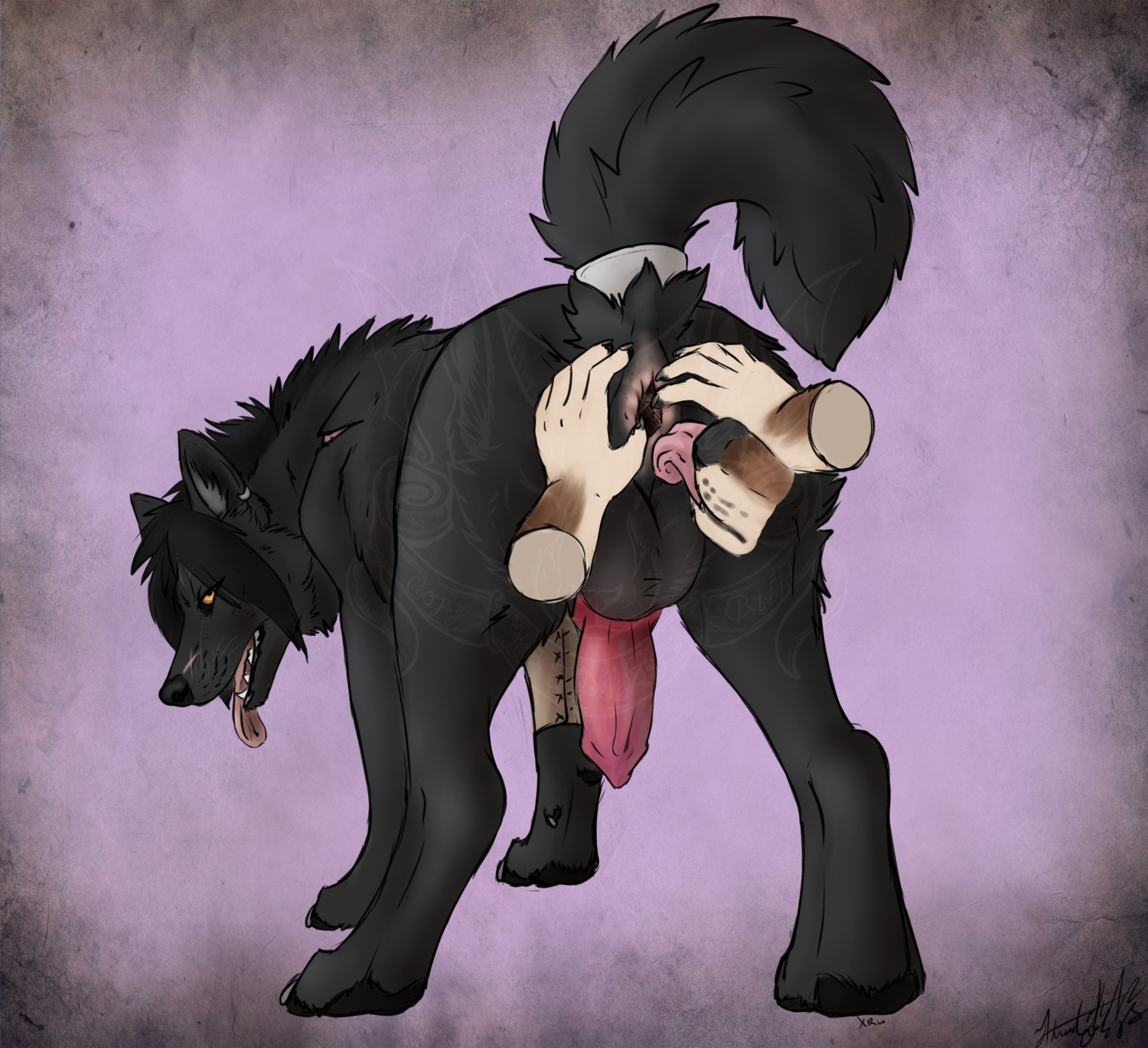 2014 4_toes anal anatomically_correct anatomically_correct_genitalia anatomically_correct_penis animal_genitalia animal_penis anthro anthro_on_feral anus backsack balls bestiality black_body black_fur breath butt canid canine canine_genitalia canine_penis canis claws disembodied_hand distracting_watermark domestic_dog duo e621 erection feet feral fur gaping gaping_anus genitals hair hi_res interspecies knot krimzen_redwing licking looking_at_viewer looking_back lysander male mammal open_mouth oral panting penis presenting presenting_hindquarters raised_tail rimming scar sex spread_anus spread_legs spreading tail toes tongue tongue_out watermark