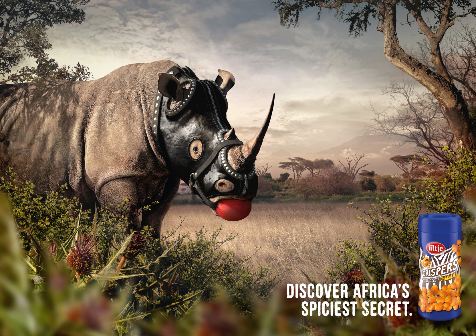 advertisement ambiguous_gender ball_gag bdsm cloud e621 english_text feral gag gagged gimp_mask hi_res horn leather looking_at_viewer mammal mask outside rhinoceros savanna sky solo text unknown_artist zipper