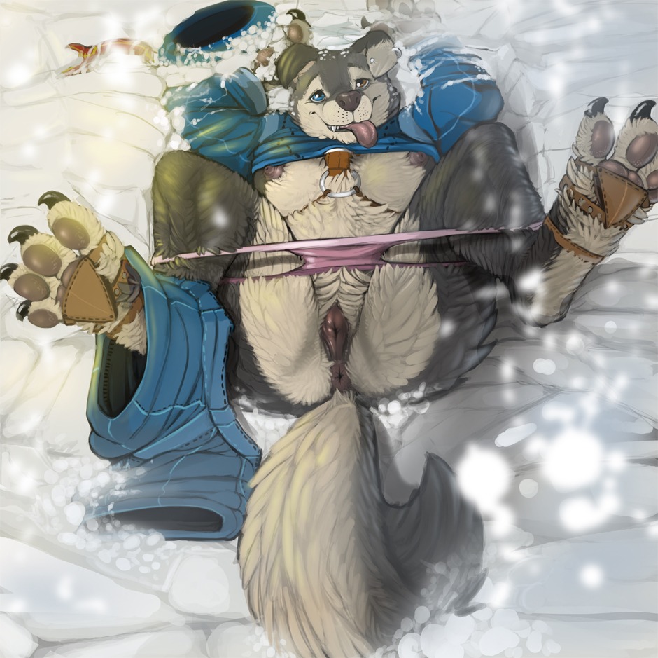 4_toes anatomically_correct anatomically_correct_genitalia anatomically_correct_vulva animal_genitalia animal_vulva anthro anus bad_dragon biped blue_eyes bottomwear breasts brown_eyes canid canine canine_genitalia canine_vulva canis claws clothed clothing coat denim denim_bottomwear denim_clothing domestic_dog e621 ear_piercing feet female female_anthro fur genitals hat headgear headwear heterochromia hindpaw husky jeans leather looking_at_viewer lying mammal narse natascha_(bad_dragon) nipples nordic_sled_dog official_art on_back outside panties panties_down pants partially_clothed pawpads paws piercing pink_clothing pink_panties pink_underwear presenting snow solo spitz spread_legs spreading straps tail text toe_claws toes tongue tongue_out topwear underwear underwear_down url vulva winter