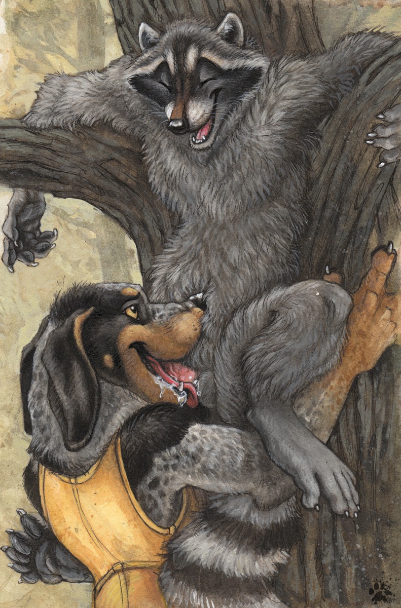 2008 animal_genitalia anthro blotch bodily_fluids canid canine canis claws clothing cum domestic_dog duo e621 erection eyes_closed fellatio fur genital_fluids genitals head_in_crotch hi_res jacket male male/male male_penetrated male_penetrating male_penetrating_male mammal oral oral_penetration penetration penile penis plant procyonid raccoon scratches_volume_4 sex tail topwear traditional_media_(artwork) tree wood yellow_eyes