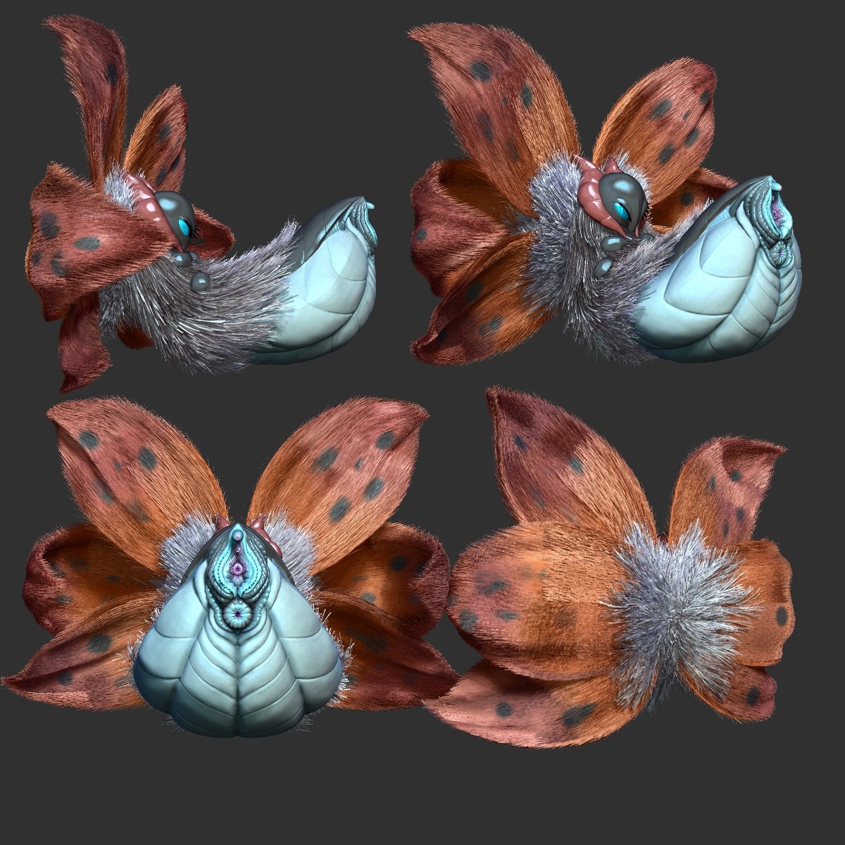 1:1 3d_(artwork) anus arthropod arthropod_abdomen arthropod_abdomen_genitalia arthropod_abdomen_vulva butt compound_eyes darth_saburou digital_media_(artwork) e621 female feral fuzzy gaping generation_5_pokemon genitals grey_background grotesque_genitals hi_res insect lepidopteran looking_at_viewer lying multiple_angles nintendo on_back pokemon pokemon_(species) presenting presenting_hindquarters simple_background slocik solo volcarona vulva