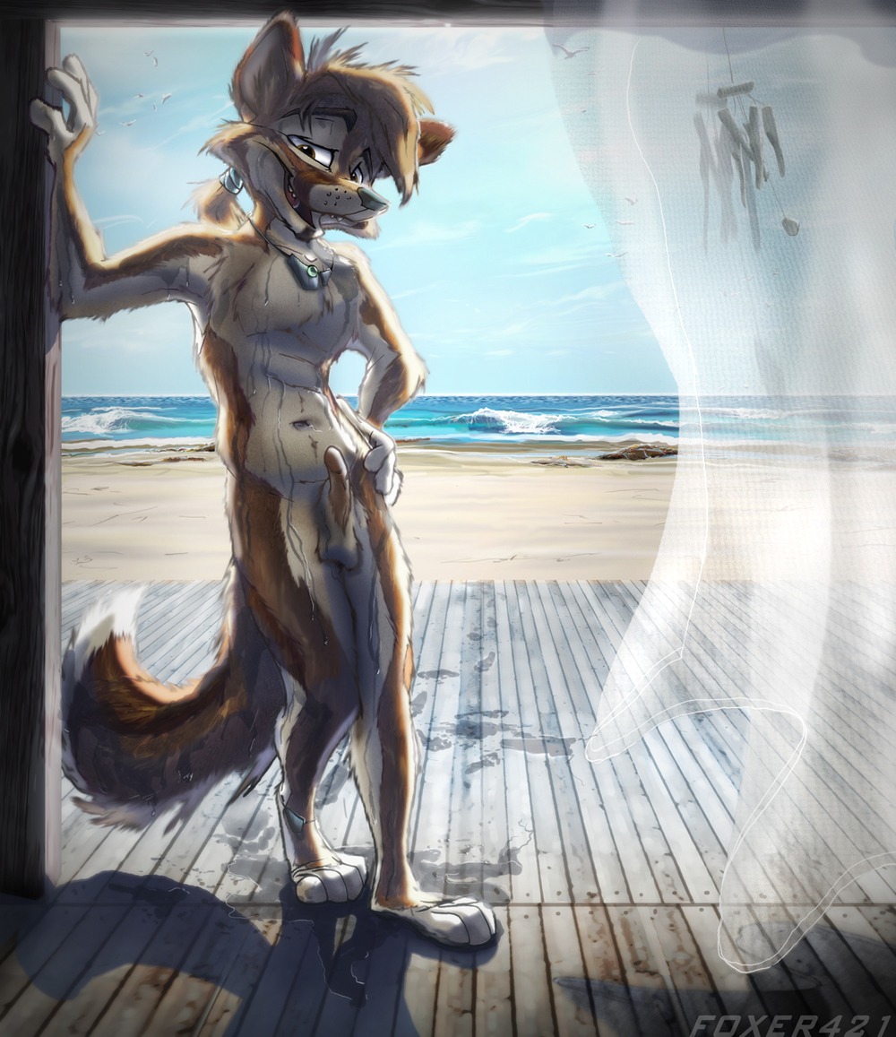 3_toes anklet anthro avian balls beach biped bird black_nose brown_body brown_eyes brown_fur brown_hair canid canine curtains day detailed_background e621 erection feet footprint fox foxer421 foxer421_(character) fur genitals gull hair jewelry jewelry_only lari larid leaning legband looking_at_viewer male mammal navel necklace necklace_only nude nude_beach open_mouth outside penis ponytail sand sea seaside sky smile solo standing tail teeth toes tongue translucent water wave wet wind_chime wood