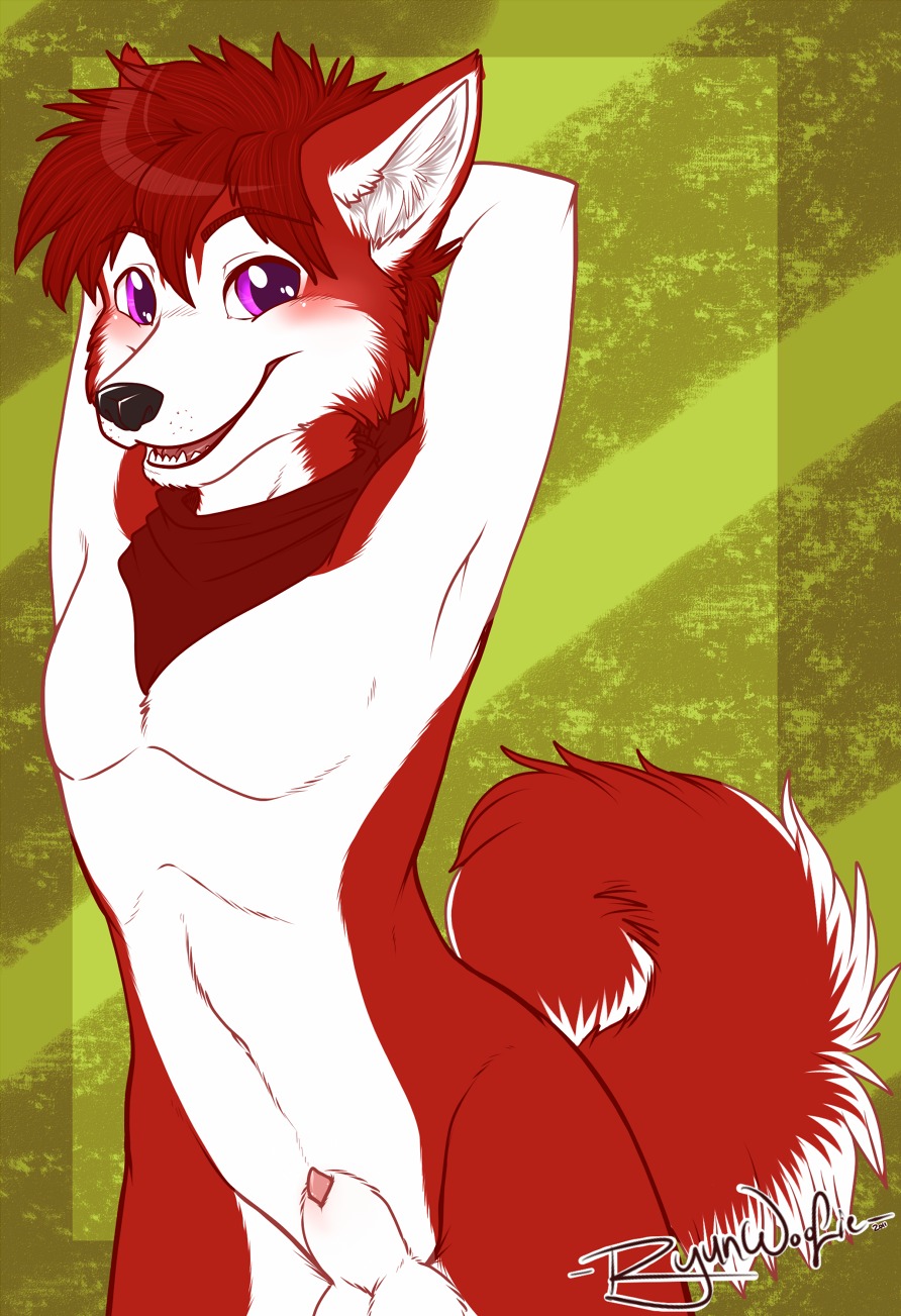 2011 animal_genitalia anthro balls biped blush canid canine canis cenny domestic_dog e621 fur genitals hair hands_behind_head hi_res husky male mammal nordic_sled_dog nude penis penis_tip red_body red_fur red_hair ryunwoofie sheath solo spitz tail