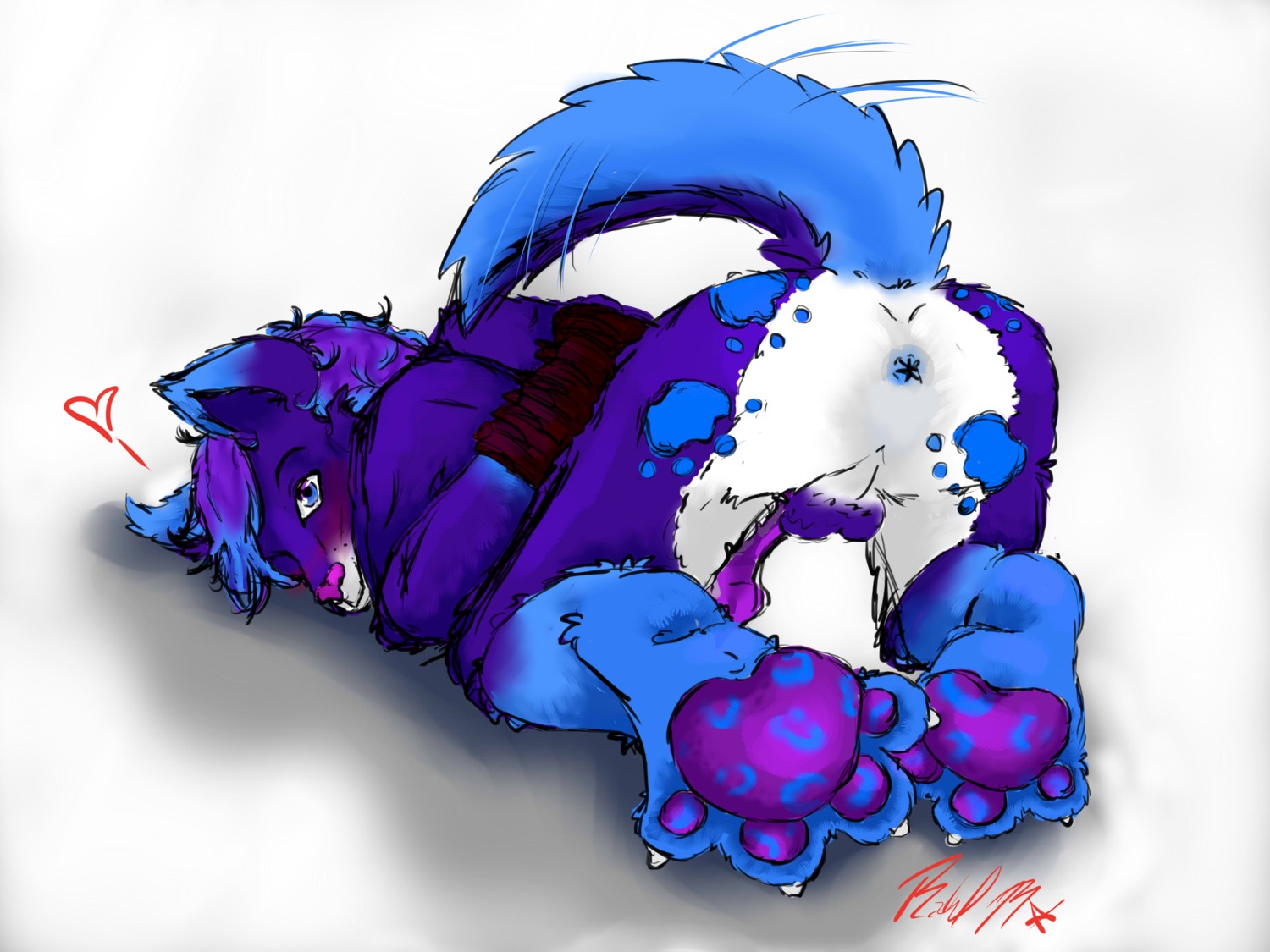 2014 4:3 absurd_res anthro anus ass_up backsack balls bdsm blue_anus blue_body blue_fur blush bondage bound butt canid canine canis e621 ensis_(miue-kitten) erection fur genitals heart_symbol hi_res knot looking_at_viewer looking_back looking_back_at_viewer male mammal miue-kitten pawpads penis presenting presenting_hindquarters prints purple_balls purple_pawpads purple_penis seductive signature simple_background solo submissive submissive_male tail tail_motion tailwag white_background wolf