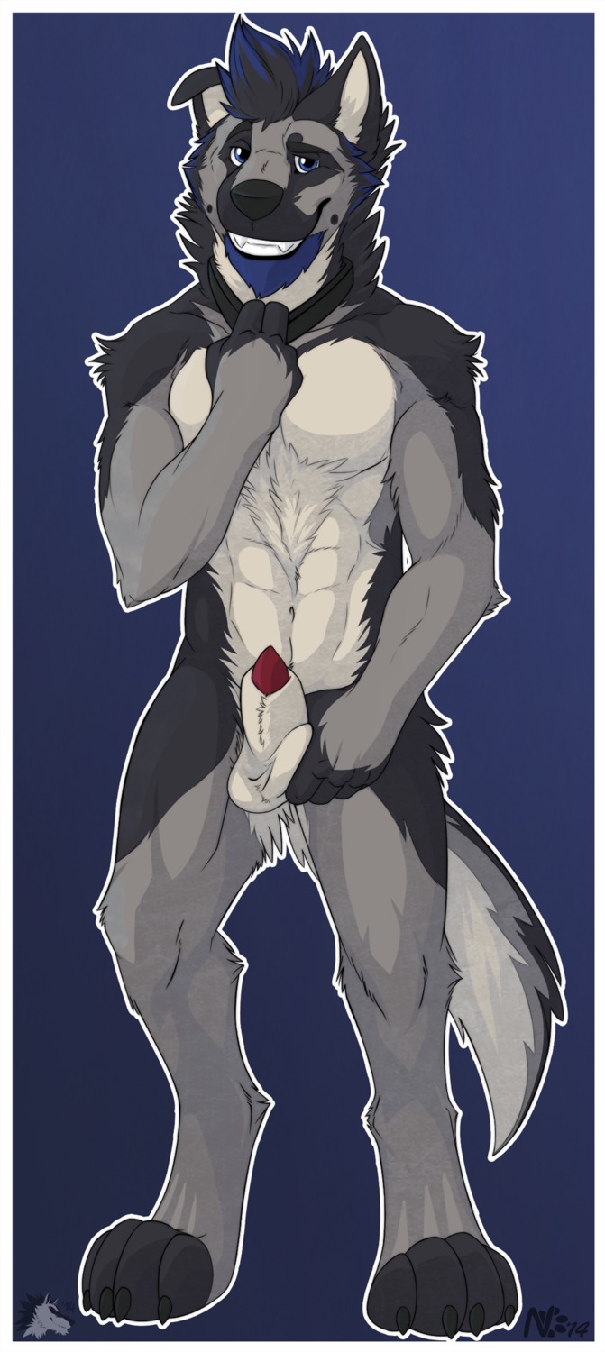 2014 abs aluminemsiren animal_genitalia animal_penis anthro athletic ball_fondling balls barefoot biceps biped black_body black_fur black_hair black_nose blue_background blue_body blue_eyes blue_fur blue_hair canid canine canine_genitalia canine_penis canis chest_tuft claws collar digital_media_(artwork) domestic_dog e621 fangs feet fingerless_(marking) fondling full-length_portrait fur genitals german_shepherd grey_body grey_fur grin hair half-erect herding_dog hi_res looking_at_viewer male mammal muscular muscular_anthro nude pastoral_dog pecs penis penis_tip portrait pose red_penis sheath simple_background smile solo standing teeth toe_claws toeless_(marking) tuft
