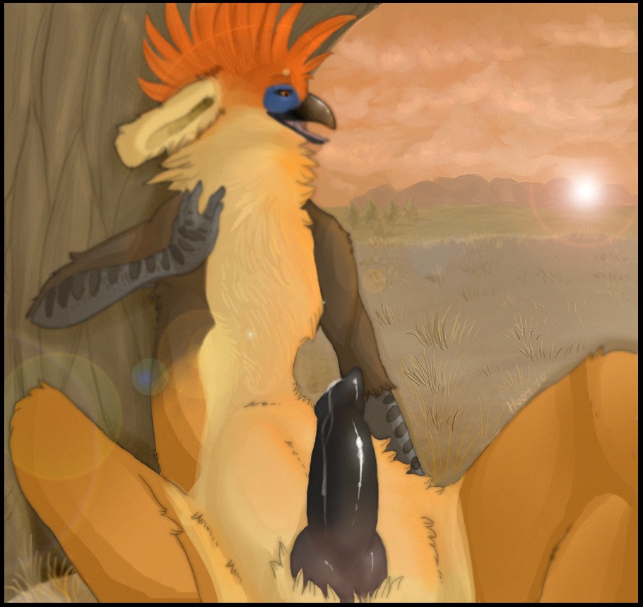 1boy 2010 anthro avian bird canine_penis cum gryphon hoot knot male male_only mythological_avian mythological_creature mythology nude penis rule34 solo