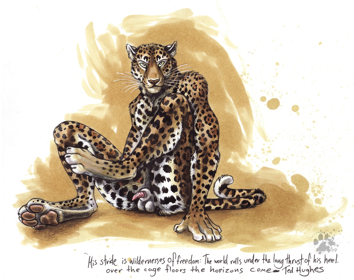 2009 animal_genitalia animal_penis anthro balls biped blotch e621 english_text feet felid feline_genitalia feline_penis flaccid genitals hindpaw jaguar looking_at_viewer male mammal nude pantherine pawpads paws penile_spines penis penis_tip scratches_volume_3 sheath simple_background sitting solo spots tail tapering_penis text traditional_media_(artwork) whiskers white_background