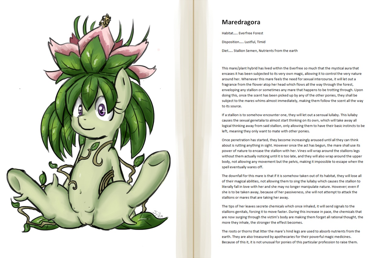 digital_media_(artwork) e621 english_text equid equine female flower genitals hasbro horse how-to leaf mammal maredragora model_sheet my_little_pony plant pony shaded sirachanotsauce solo species_sheet teats text thorn vulva