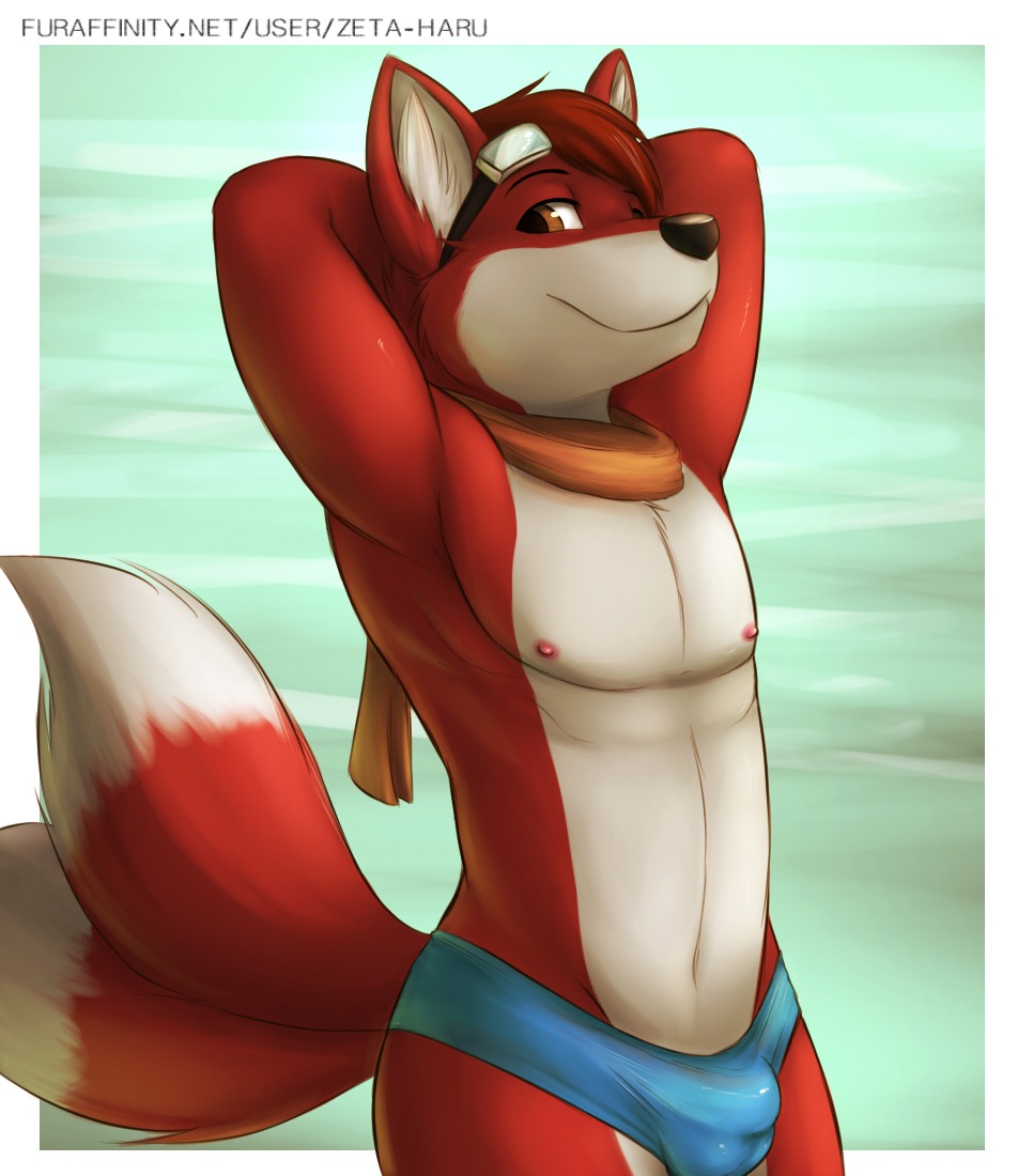 2013 anthro black_nose bulge canid canine clothed clothing countershading e621 eyewear fox fur goggles hair male mammal maxamilion_the_fox multi_tail muscular muscular_anthro muscular_male nipples pecs red_body red_eyes red_fur red_hair scarf skimpy solo speedo swimwear tail text topless url water white_body white_fur zeta-haru