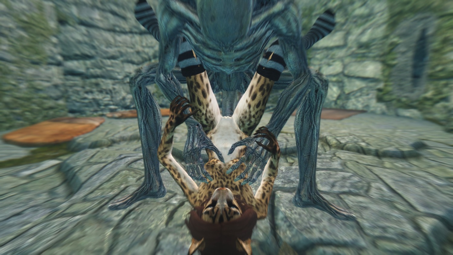 16:9 3d_(artwork) anthro anthro_penetrated barely_visible_genitalia barely_visible_vulva bethesda_game_studios breasts clothing digital_media_(artwork) discombobulation draugr duo e621 felid female female_on_humanoid female_penetrated footwear genitals hi_res humanoid humanoid_on_anthro humanoid_penetrating humanoid_penetrating_anthro khajiit legwear male male/female male_on_anthro male_penetrating male_penetrating_female mammal microsoft penetration penis screencap sex skyrim socks the_elder_scrolls undead vulva widescreen