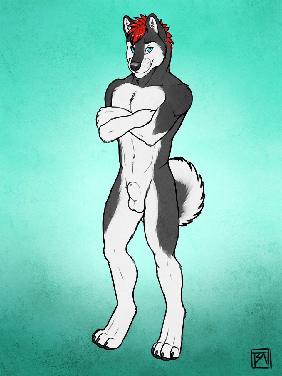 3:4 animal_genitalia anthro athletic athletic_male balls biped blue_background blue_eyes canid canine canis crossed_arms darroh domestic_dog e621 fully_sheathed fur genitals grey_body grey_fur hair hi_res husky looking_at_viewer male mammal nordic_sled_dog nude pose red_hair sheath simple_background solo spitz standing tsaiwolf