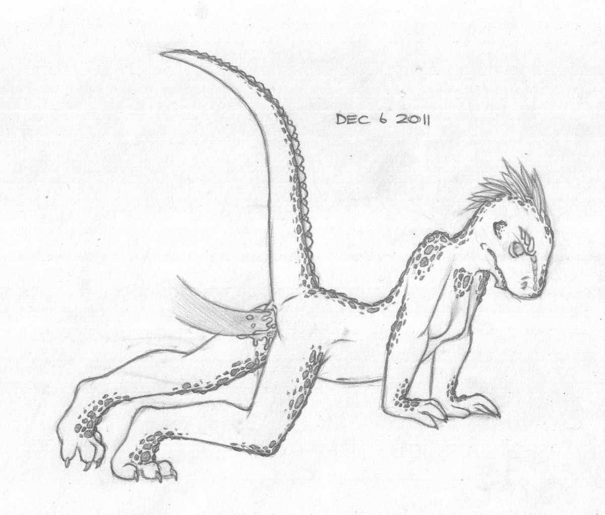 anthro argonian female rule34 skyrim tagme the_elder_scrolls