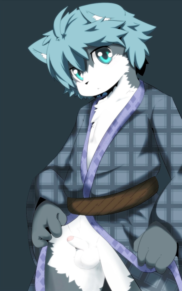anthro asian_clothing balls biped blue_hair canid canine clothed clothing e621 east_asian_clothing erection exhibitionism foreskin genitals grey_background hair hi_res japanese_clothing kurokiriririri looking_at_viewer male mammal partially_clothed partially_retracted_foreskin penis simple_background solo young young_anthro young_male