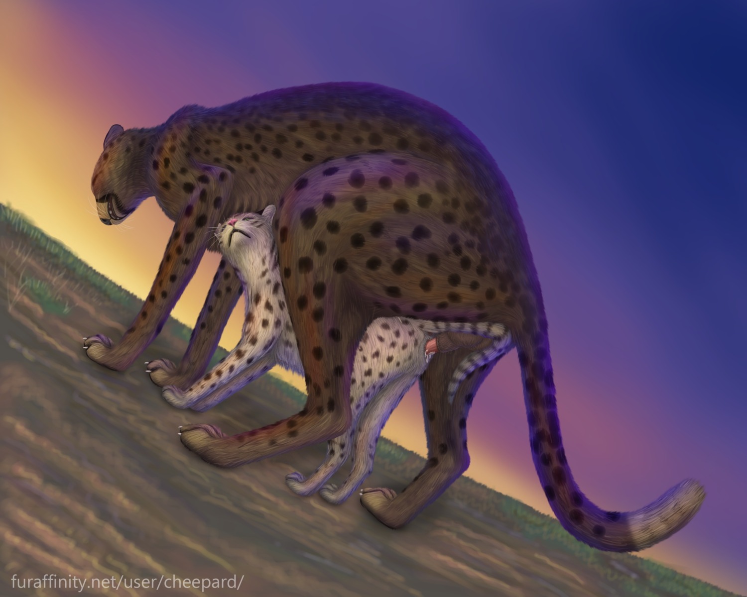 5:4 animal_genitalia animal_penis balls bodily_fluids cheepard cheetah cum cum_in_vagina cum_inside digital_media_(artwork) domestic_cat dominant duo dutch_angle e621 egyptian_mau erection felid feline feline_genitalia feline_penis felis female female_penetrated feral feral_on_feral fur genital_fluids genitals green_eyes hi_res larger_dom larger_male mafti_(queensmate) male male/female male_penetrating male_penetrating_female mammal markings nude penetration penile penile_penetration penis penis_in_vagina quadruped revad sex size_difference smaller_female smaller_penetrated spots spotted_body spotted_fur spotted_tabby sunset vaginal vaginal_penetration