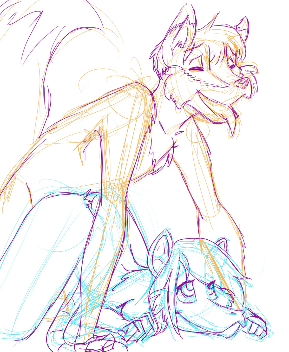 all_fours american_opossum anthro anthro_on_anthro canid canine doggystyle dr_emery duo e621 emery_(dr_emery) eyes_closed female fox from_behind_position grin guide_lines hair hi_res male male/female mammal marsupial open_mouth sex simple_background sketch smile tail tongue tongue_out white_background