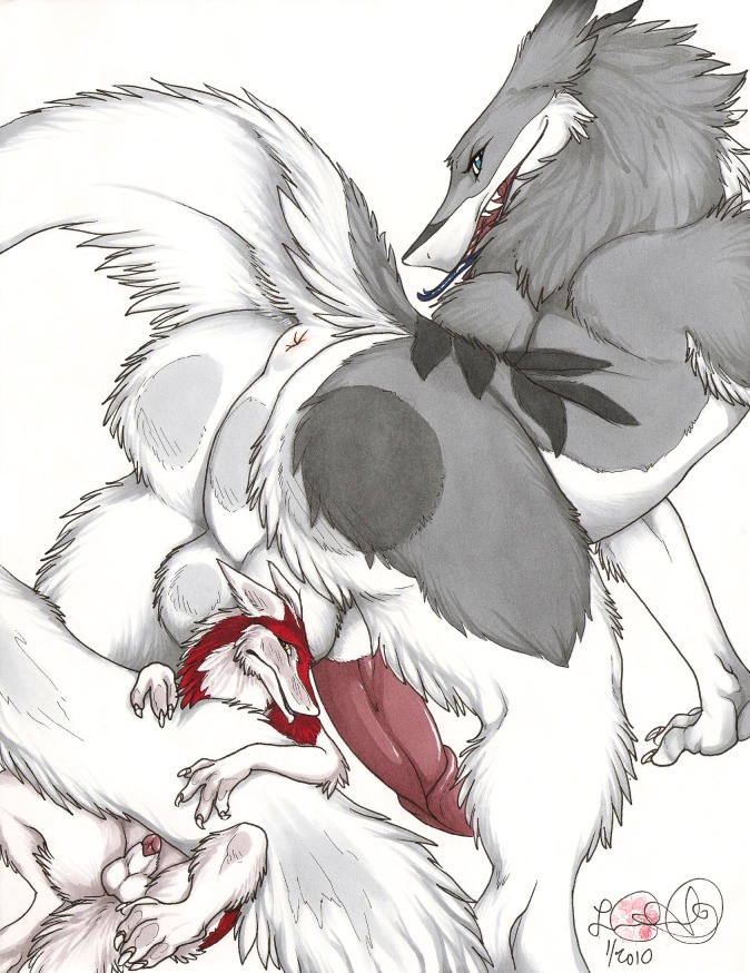 anatomically_correct anatomically_correct_genitalia anatomically_correct_penis animal_genitalia anthro anus backsack balls butt duo e621 epicwang erection genitals larger_male looking_back male male/male mammal penis presenting sergal sergal_penis sheath size_difference smaller_male tail tapering_glans tongue tongue_out