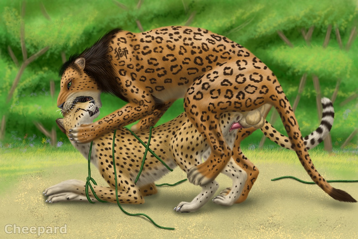 3:2 animal_genitalia animal_penis balls bdsm bite black_sheath_slit bondage bound brown_hair cheepard cheepard_(character) cheetah closed_sheath_slit detailed_background duo e621 erection felid feline feline_genitalia feline_penis female female_penetrated feral feral_on_feral from_behind_position genitals green_eyes hair head_nom interspecies kovu_wolfszahn leopard male male/female male_penetrating male_penetrating_female mammal nature nom nude outside pantherine penetration penile penile_penetration penis penis_in_vagina plant sex sheath sheath_slit side_view vaginal vaginal_penetration vines vulva yellow_eyes