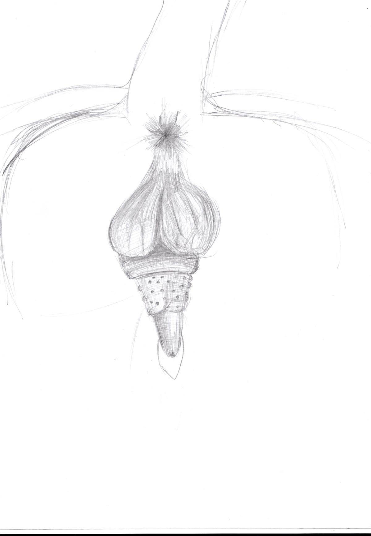 absurd_res anus balls black_and_white e621 erection felid genitals hi_res lion male mammal monochrome pantherine penis raised_tail simple_background sketch solo tail tail_anus unknown_artist white_background