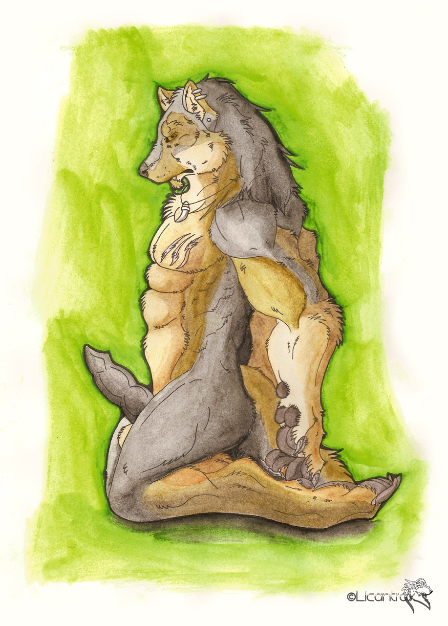 2012 anthro artist_name balls canid canine canis caronte e621 erection genitals hi_res male mammal penis ronte solo text wolf