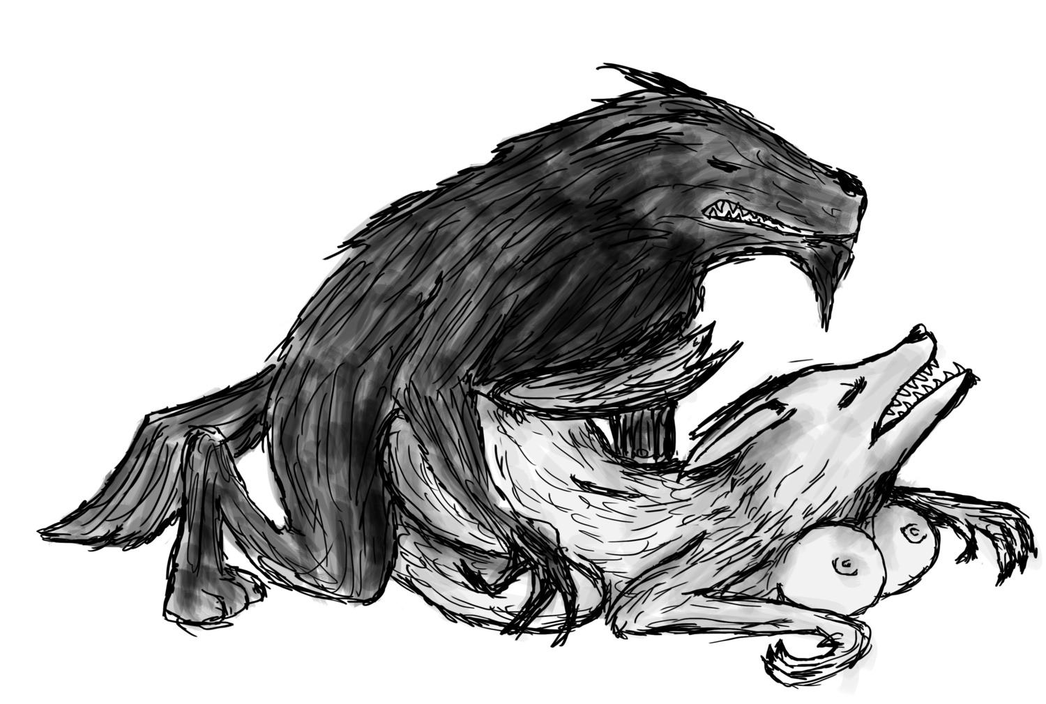 anthro blizzard_entertainment female rule34 sketch tagme warcraft worgen worgen_with_tail world_of_warcraft