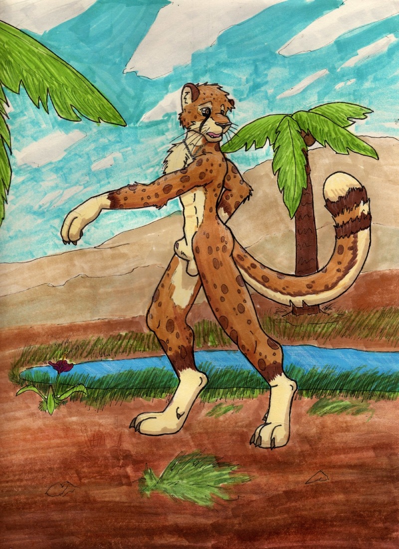 animal_genitalia anthro cheetah cloud desert dog_tags e621 felid feline fully_sheathed genitals male mammal oasis outside sheath sikes sky solo tail transformation