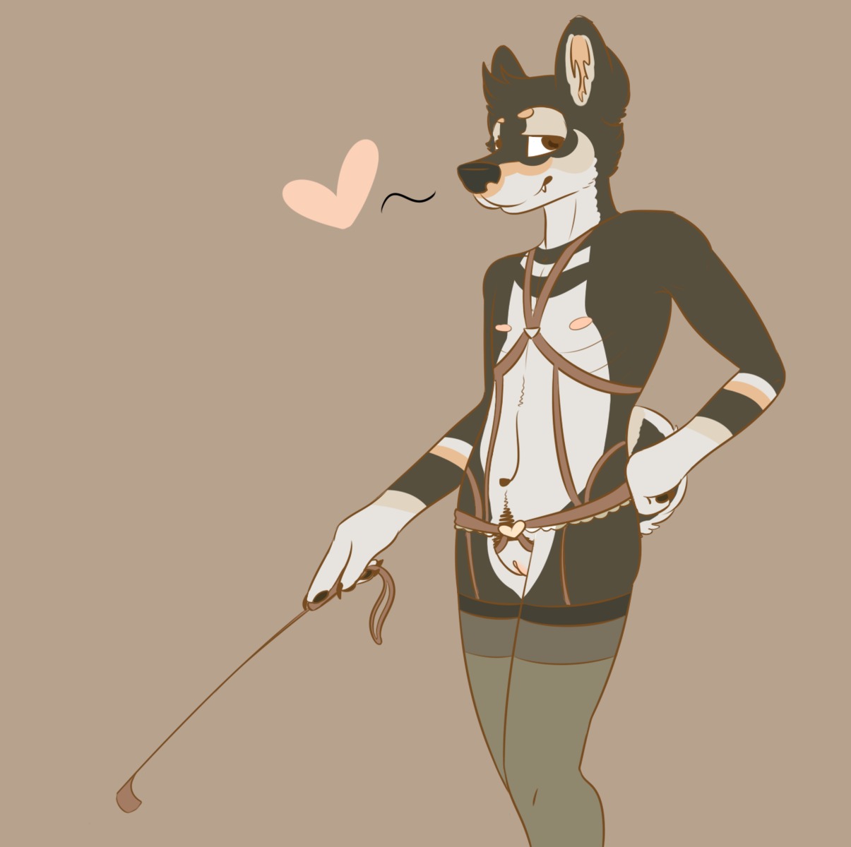 andromorph anthro birdsmooch black_body black_fur brown_eyes canid canine canis clothed clothing domestic_dog e621 fur genitals harness heart_symbol hi_res intersex legwear mammal nipples riding_crop shiba_inu simple_background solo spitz stockings vulva whip