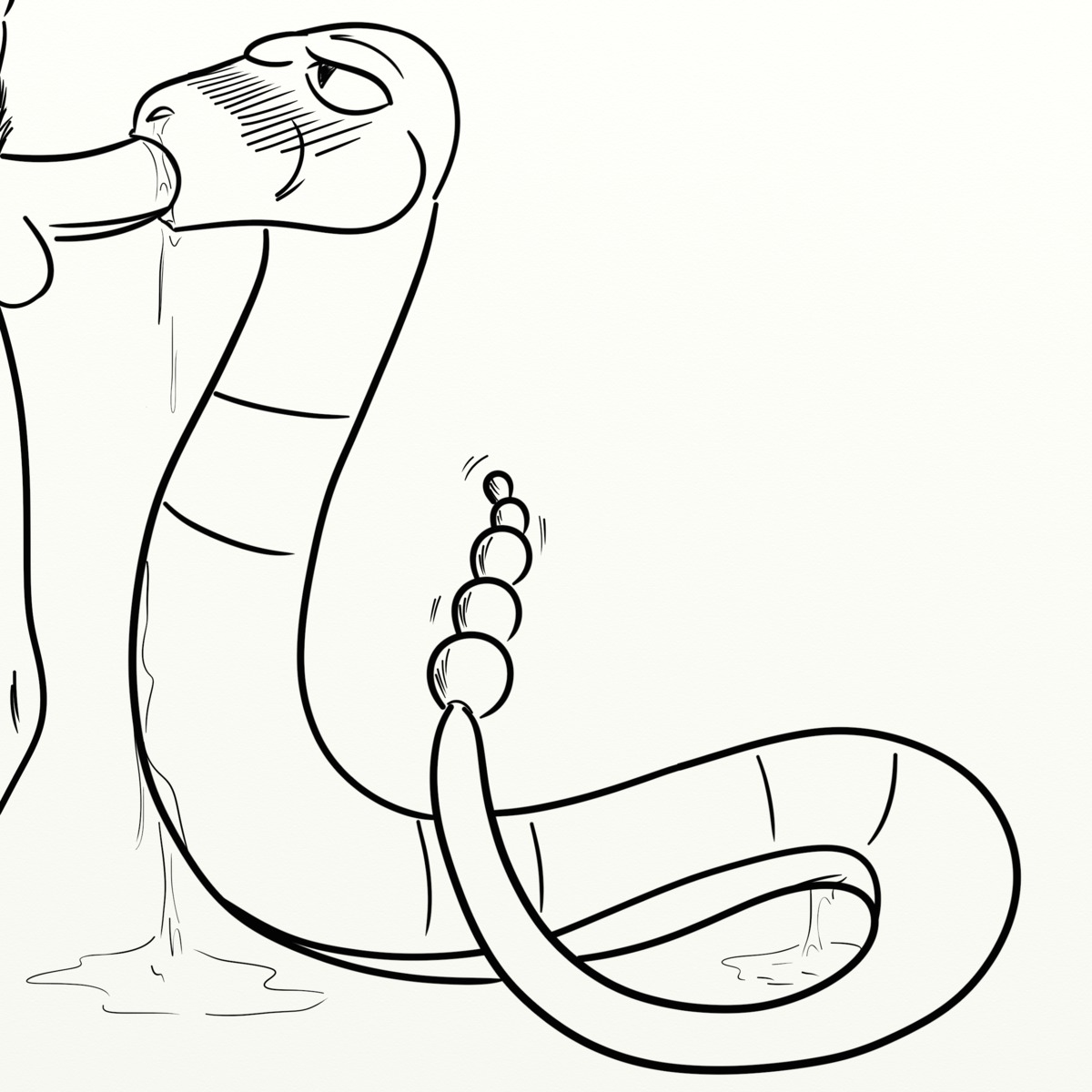 1:1 absurd_res bestiality blush bodily_fluids duo e621 ekans erection fellatio female female_on_human feral fuckemall generation_1_pokemon genital_fluids genitals hi_res human human_on_feral interspecies lizard male male/female male_on_feral mammal nintendo nude oral penile penis pokemon pokemon_(species) pokephilia rattle_(anatomy) reptile saliva scalie sex snake submissive sucking vaginal_fluids vulva