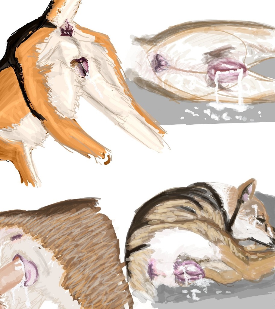anatomically_correct animal anus canine canine_pussy closed_eyes cum female feral gdane humanoid_penis interspecies male penis pussy rule34 zoophilia