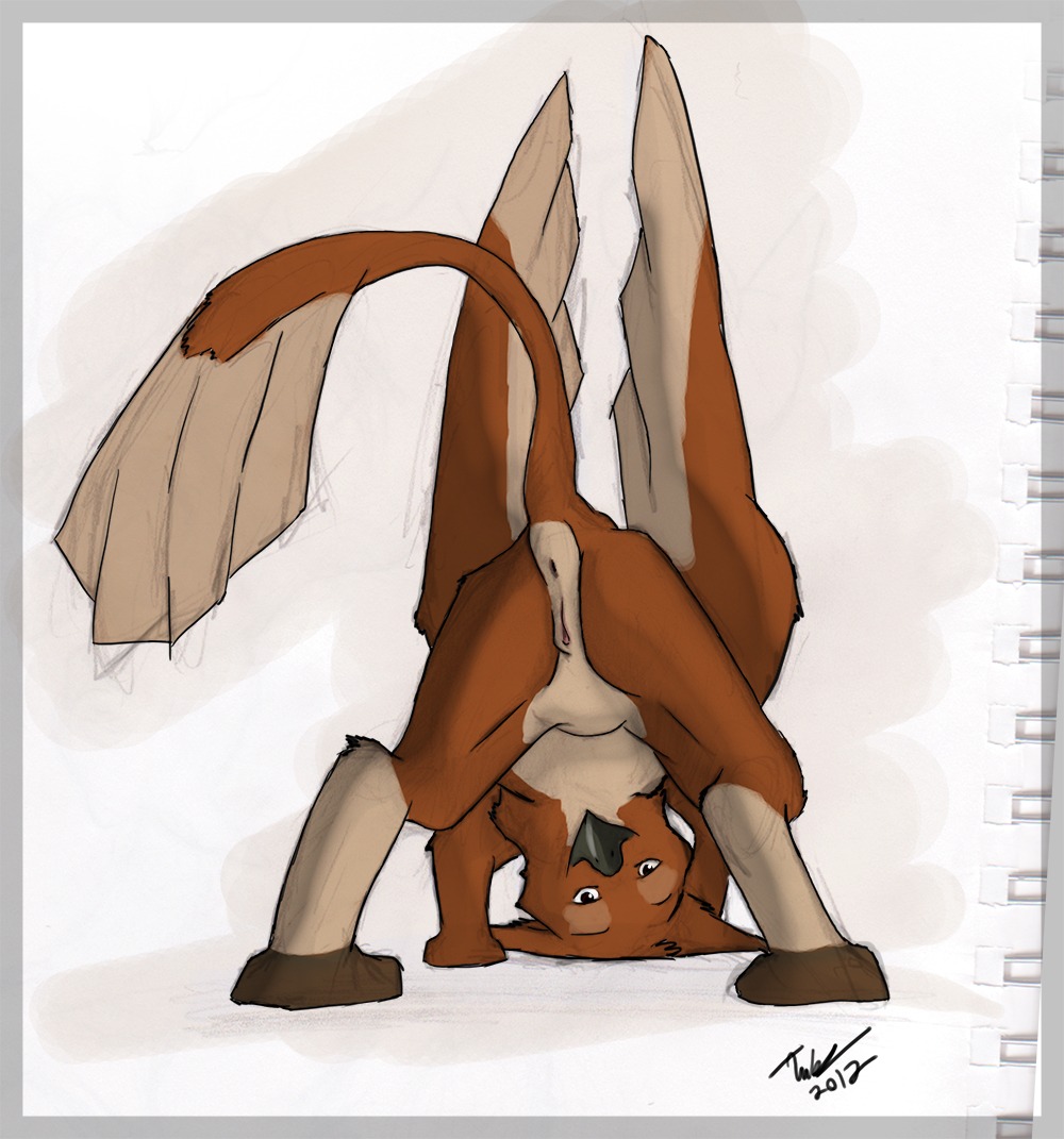 2012 anus avian beak brown_body brown_eyes brown_feathers digital_media_(artwork) digitigrade e621 feathered_wings feathers feet female feral genitals gryphon leg_markings looking_at_viewer looking_back looking_through looking_through_legs markings mythological_avian mythological_creature mythology presenting raised_tail simple_background socks_(marking) solo tail tail_anus talons toes tuke vulva white_background wings