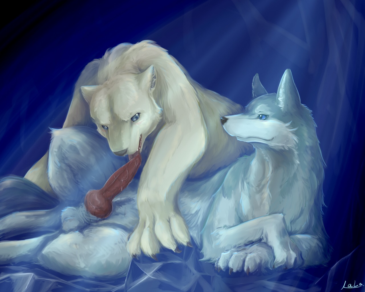 2011 5:4 alternate_version_at_source ambiguous_gender animal_genitalia animal_penis arctic_wolf balls bear blue_eyes blush canid canine canine_genitalia canine_penis canis duo e621 erection feral genitals knot licking lying male mammal nude oral penile penis penis_lick polar_bear quadruped sex tail tongue tongue_out urekemo ursine wolf