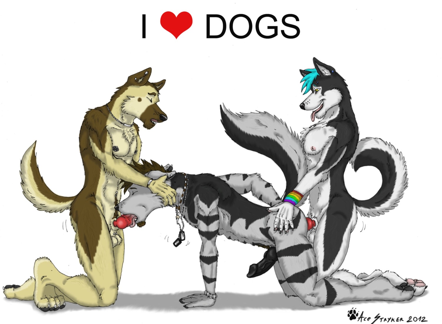 2012 ace_stryker all_fours anal anal_penetration animal_genitalia animal_penis anthro anthro_on_anthro balls beard black_nipples black_penis bracelet breath brown_hair canid canine canine_genitalia canine_penis canis claws dog_tags doggystyle domestic_dog double_penetration e621 ear_piercing erection eyes_closed facial_hair fellatio fluffy fluffy_tail from_behind_position furgonomic_piercing furgonomics genital_piercing genitals german_shepherd goatee group group_sex hair hand_on_butt hand_on_head herding_dog hi_res husky jewelry knot knotted_penis male male/male male_penetrated male_penetrating male_penetrating_male mammal muscular muscular_male nipple_piercing nipples nordic_sled_dog oral oral_penetration panting pastoral_dog pawpads penetration penile penis piercing raised_tail sex sheath sheath_piercing simple_background smile spitroast spitz tail threesome toe_claws tongue tongue_out trio white_background wolf
