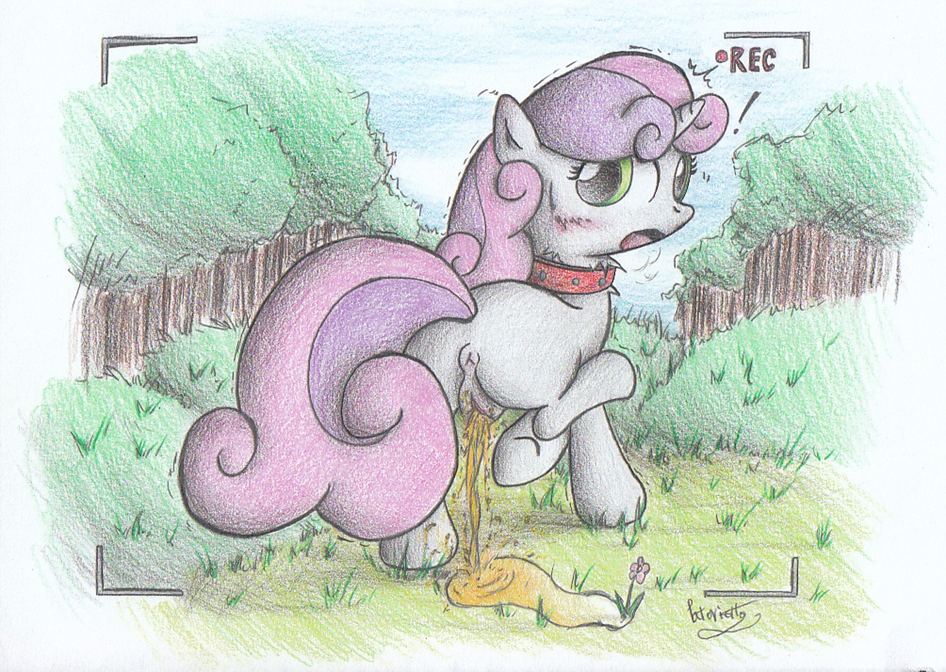 2013 anus blush bodily_fluids collar e621 equid equine exclamation_point female female_peeing feral friendship_is_magic fur genital_fluids genitals hair hasbro hiked_leg horn looking_at_viewer looking_back mammal multicolored_hair my_little_pony mythological_creature mythological_equine mythology outside patoriotto peeing raised_leg solo sweetie_belle_(mlp) two_tone_hair unicorn urine vulva white_body white_fur young young_female young_feral