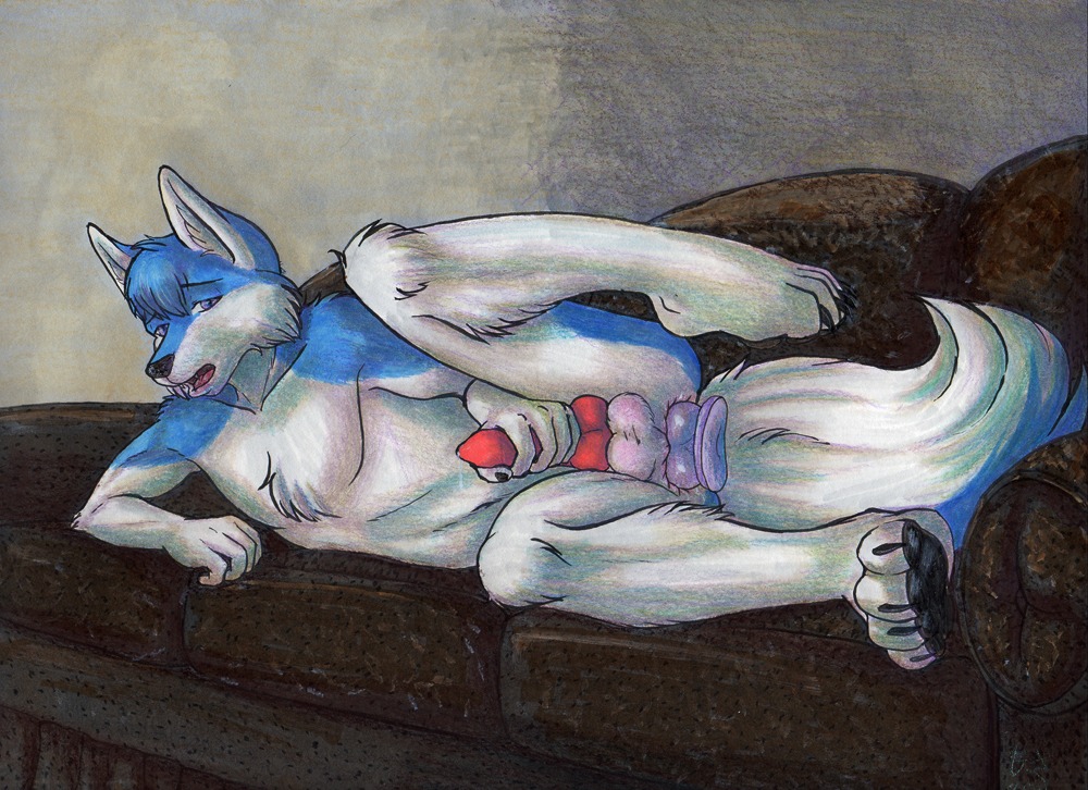 2011 aidangunther anal anal_masturbation anal_penetration animal_genitalia animal_penis anthro balls biped blue_body blue_fur blue_hair canid canine canine_genitalia canine_penis canis dildo domestic_dog e621 erection fur furniture genitals hair husky knot lying male mammal masturbation mosa nordic_sled_dog nude on_side penetration penis sex_toy sofa solo spitz tail toying_self