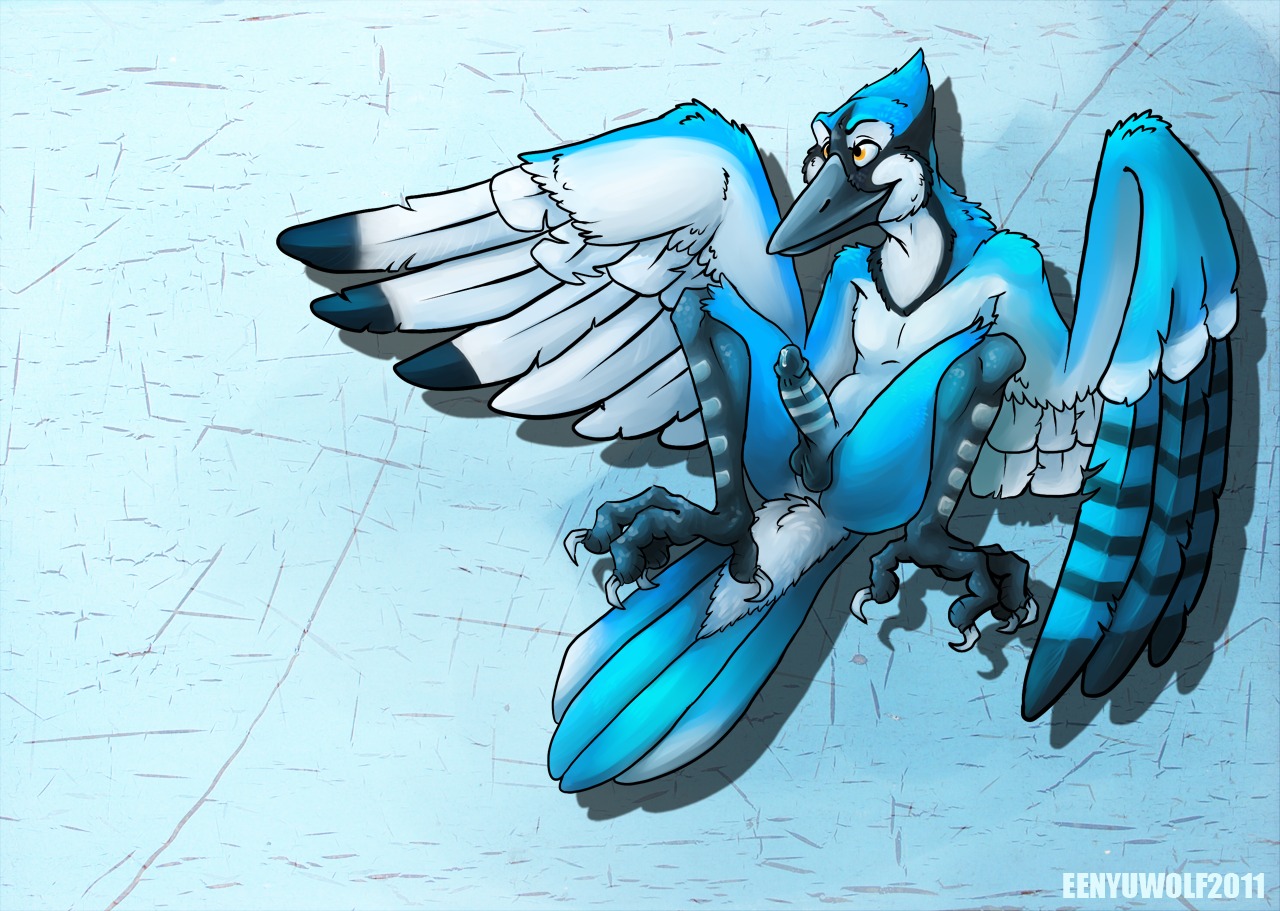 male male_only mordecai regular_show rule34 tagme