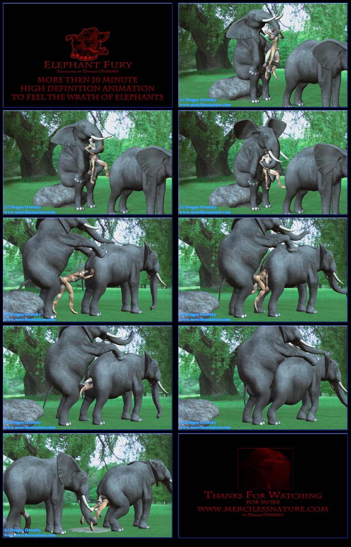3d_(artwork) 5_fingers 9:14 absurd_res anal anal_penetration anthro anthro_on_feral bestiality black_border border bulge canid canine comic death death_by_penis digital_media_(artwork) doggystyle dominant drages duo_focus e621 elephant elephantid english_text erection feral fingers forced from_behind_position fully_restrained genitals grey_body grey_skin group hi_res huge_penetration human immobilization interspecies it'll_never_fit larger_dom larger_male larger_penetrated lifted lifting light_body light_skin living_condom male male/male male_penetrated male_penetrating male_penetrating_male mammal outside penetration penile penile_penetration penis plant proboscidean proboscis_(anatomy) quadruped rape realistic_feral restrained ridiculous_fit sex side_view size_difference slim slim_human slim_male smaller_male snuff suspended_via_penetration tan_body tan_skin text torso_grab tree trunk_(anatomy) tusks url what