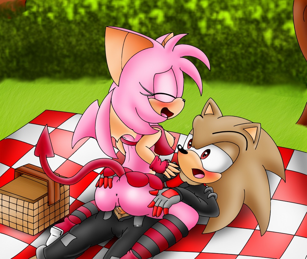 2011 anthro anus bat bigdon1992 blush breasts butt canon_x_oc clothing darklucario darklucario_(darklucario) duo e621 erection eulipotyphlan fan_character female female_penetrated genitals grass hedgehog leggings legwear male male/female male_penetrating male_penetrating_female mammal outside park penetration penis picnic plant public public_sex ruby_(darklucario) sega sex sonic_the_hedgehog_(series) tail tree vulva