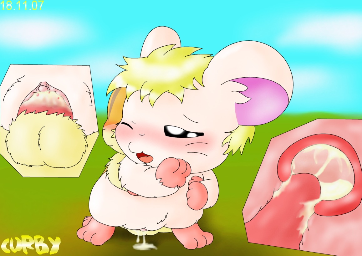 balls blush bodily_fluids clitoris cloud cricetid cum cum_in_vagina cum_inside curby day duo e621 erection female female_penetrated feral from_behind_position genital_fluids genitals hamster hamtaro_(series) internal lapis_(hamtaro) male male/female male_penetrating male_penetrating_female mammal outside penetration penile penile_penetration penis penis_in_vagina rodent sex sky stan_(hamtaro) vaginal vaginal_penetration vulva