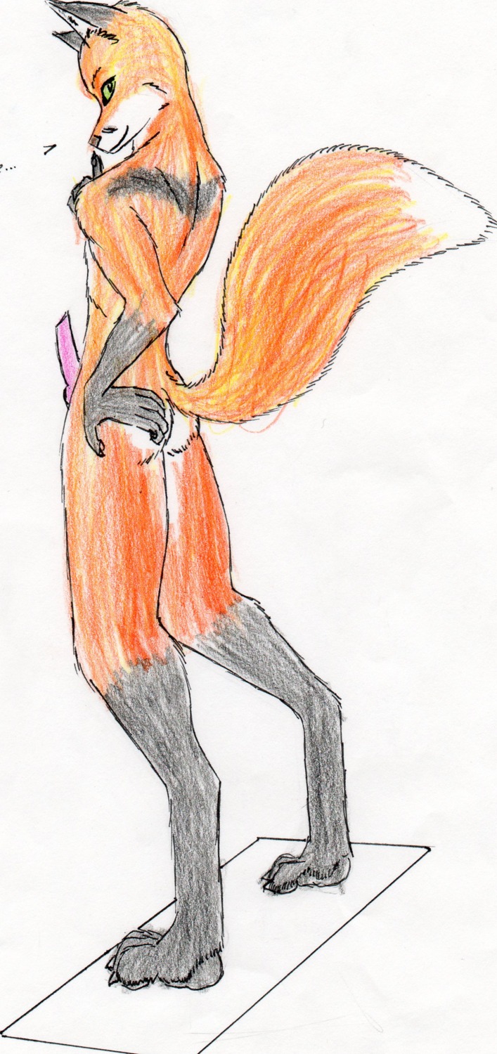 absurd_res anthro butt canid canine e621 erection fox genitals hi_res knot looking_at_viewer male mammal nude penis raised_tail solo tail wred wred_(character)