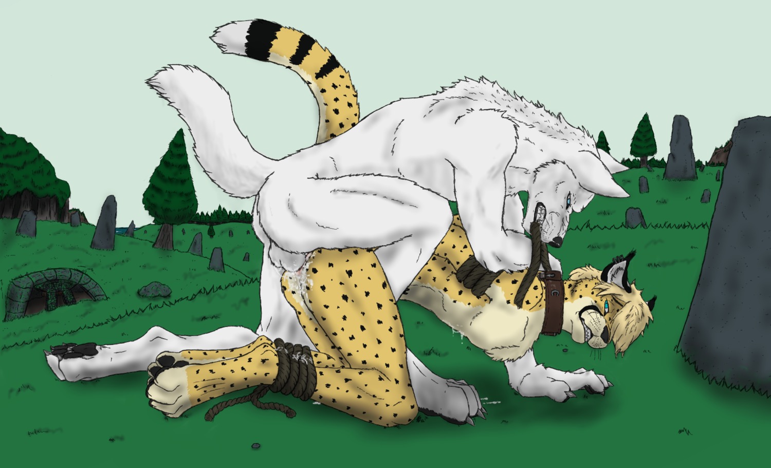 4_toes anal anal_penetration anthro anthro_on_anthro balls bdsm bent_over black_body black_fur black_nose blonde_hair blue_eyes bodily_fluids bondage bound canid canine canis chest_tuft claws collar cum cum_in_ass cum_inside cum_string digital_drawing_(artwork) digital_media_(artwork) digitigrade dominant dominant_male duo e621 ear_piercing eye_contact feet felid fluffy fluffy_tail from_behind_position fur genital_fluids genitals grass hair half-closed_eyes hands_behind_back hands_tied hi_res interspecies leash looking_at_another male male/male male_penetrated male_penetrating male_penetrating_male mammal metal-head-rush narrowed_eyes outside pawpads paws penetration piercing plant rock rope sex sky spots submissive submissive_male tail teeth toe_claws toes tree tuft whiskers white_body white_fur wolf