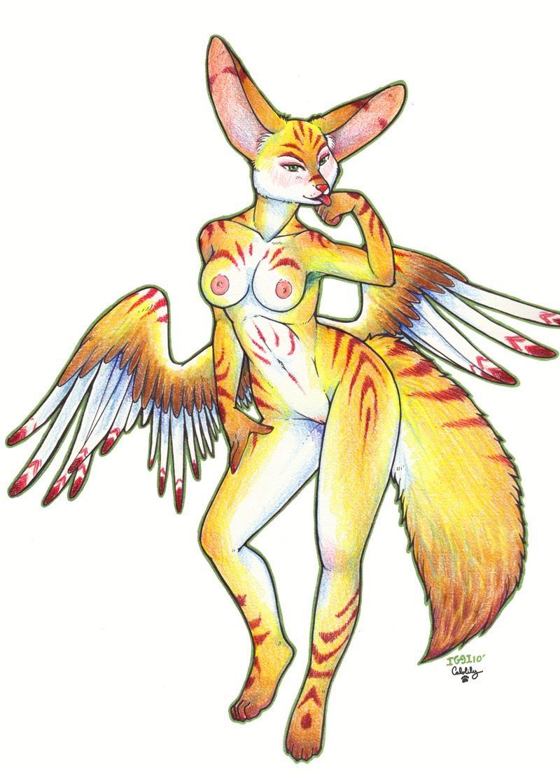 2010 anthro artist_collaboration avian breasts calolily canid canine e621 feathered_wings feathers female fennec_fox fox genitals hybrid iggi licking mammal nipples nude simple_background solo tail tongue tongue_out true_fox vulva white_background wings