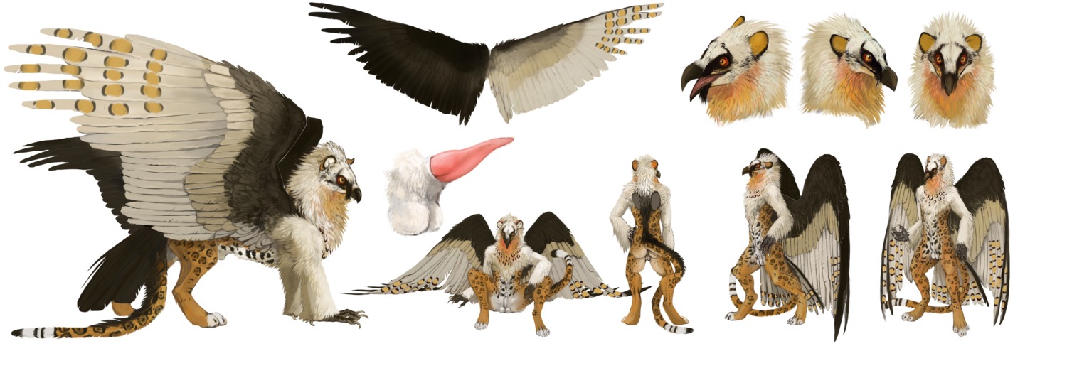 absurd_res accipitrid accipitriform animal_genitalia anthro avian backsack balls beak bearded_vulture bird e621 erection feathered_wings feathers feet felid feral fully_sheathed fystilago genitals grave_gryphon gryphon hi_res jaguar male mammal model_sheet mythological_avian mythological_creature mythology nude nukerooster old_world_vulture pantherine paws penis sheath side_view simple_background solo tail talons tapering_penis toes turnaround vulture white_background white_body white_feathers wings