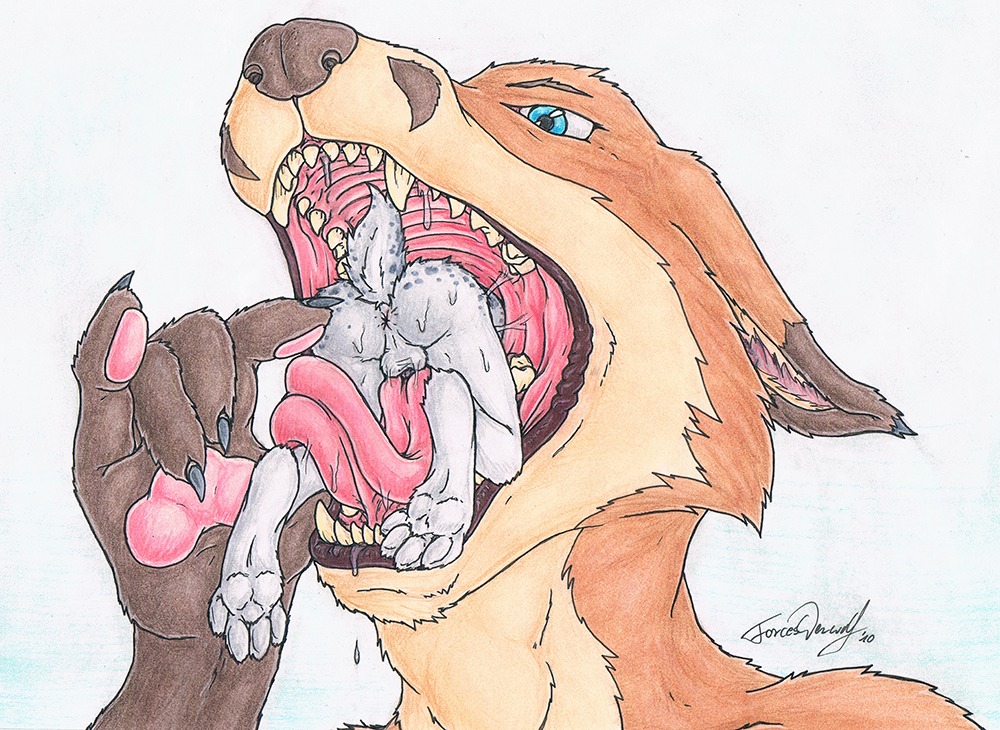 ambiguous_gender anthro anus balls canid canine duo e621 extreme_size_difference fangs forceswerwolf fox fur gaping_mouth genitals lagomorph leporid male male/ambiguous mammal mouth_shot nude open_mouth palate rabbit simple_background size_difference soft_vore swallowing teeth tongue traditional_media_(artwork) vore white_background