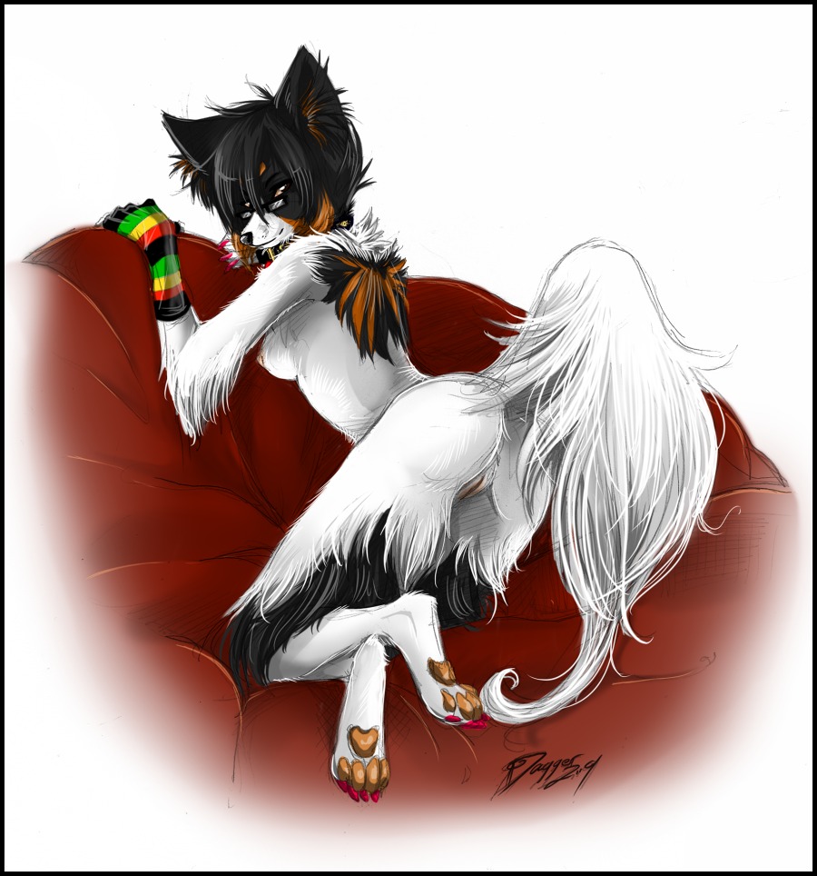 anthro bent_over black_border border breasts butt canid canine canis claws clothing dagger_leonelli dagger_leonelli_(character) domestic_dog e621 female genitals gloves handwear looking_at_viewer looking_back mammal nipples nude papillon presenting presenting_hindquarters raised_tail rear_view red_claws side_boob solo tail toy_dog vulva