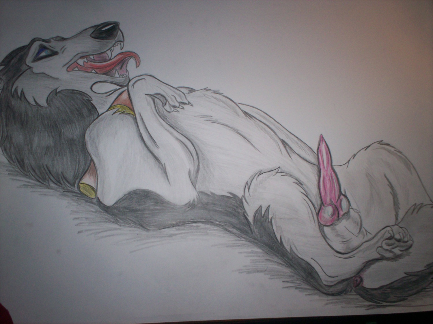 4:3 4_toes akiak alaskan_malamute animal_genitalia animal_penis anus balls balto_(series) barefoot black_nose blue_eyes canid canine canine_genitalia canine_penis canis claws collar digitigrade domestic_dog e621 erection feet feral fur genitals grandfathered_content grey_body grey_fur hi_res knot lying male mammal nordic_sled_dog on_back open_mouth penis quadruped sharp_teeth simple_background solo spitz steele_(balto) tail teeth toes tongue universal_studios white_background white_body white_fur
