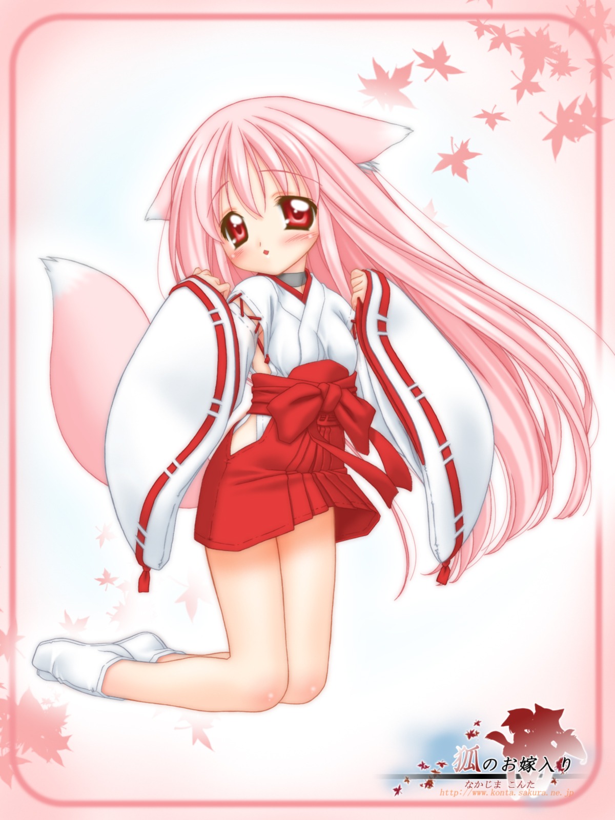 animal_ear animal_ears collar female fox_ear fox_ears fox_tail hakama high_res highres japanese_clothes long_hair miko momoyuki_(snow_fox) nakajima_konta pink_hair red_eyes rule34 snow_fox tabi tail wafuku