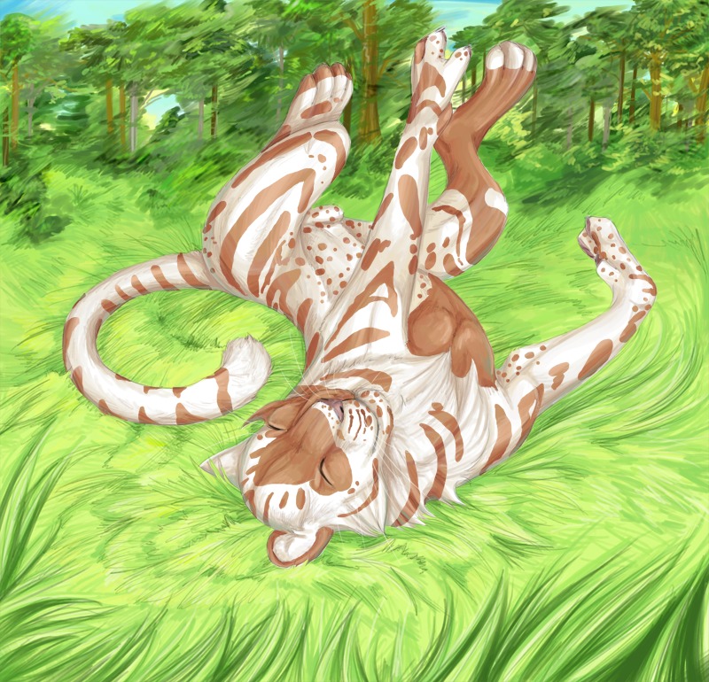 addictionhalfway animal_genitalia e621 eyes_closed felid feral forest fully_sheathed fur genitals grass lying male mammal on_back outside plant sheath solo striped_body striped_fur stripes tail tree whiskers wood