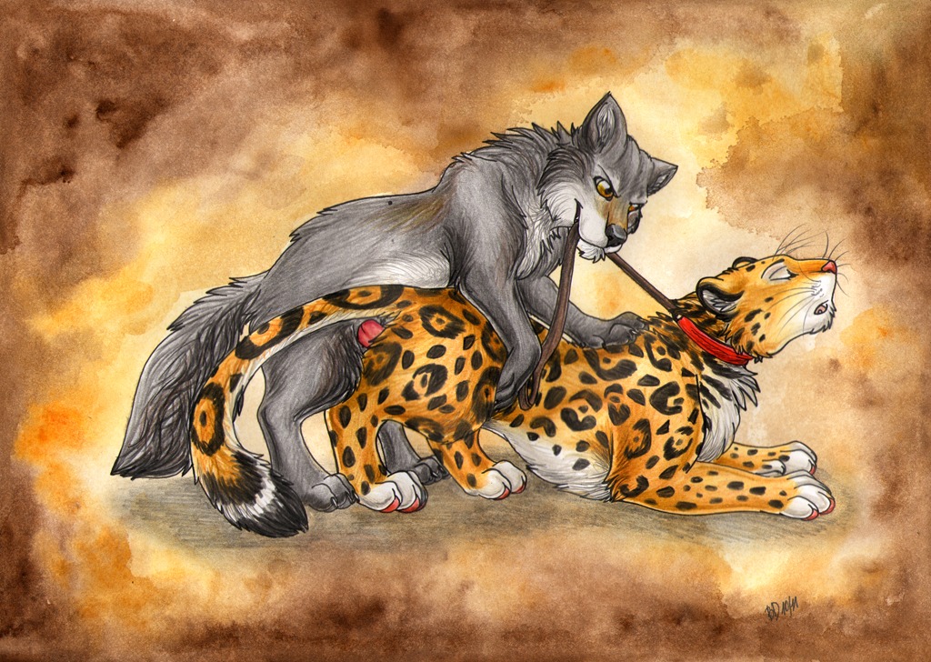 2011 abstract_background all_fours alma_aurora canid canine canis collar doggystyle duo e621 erection eyes_closed felid female female_penetrated feral feral_on_feral from_behind_position genitals interspecies jaguar leash leash_in_mouth lying male male/female male_penetrating male_penetrating_female mammal nude object_in_mouth on_front open_mouth pantherine penetration penis quadruped raika_(blackdiaraikia) sex simple_background spots tail whiskers wolf